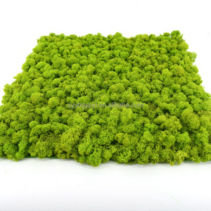 Wholesale Natural Plant Panel Decorations Natural Preserved Moss Wall For Holiday Decoration