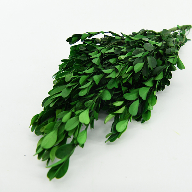 garden decoration greenery bonsai natural green leaves wreaths preserved lobular boxwood