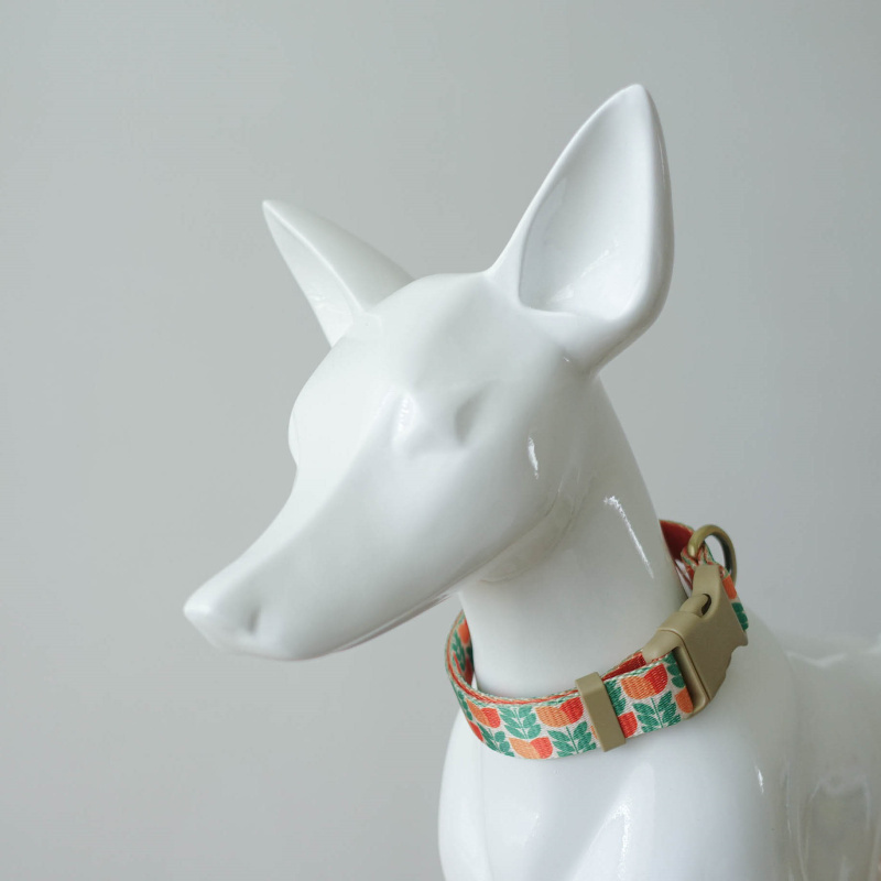 2023 Popular Luxury Dog Collar Metal Buckle Hardware Personalized Sublimation Gold Pet Dog Collar Manufacturer