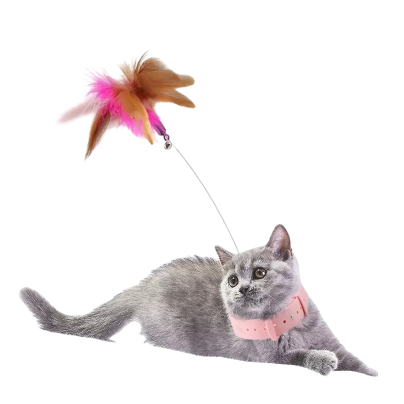 Hot Selling Feather interactive cat toy Durable Eco Friendly Thread Stainless Steel Spring Cat Toys With Pet Collar