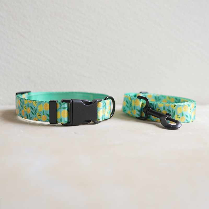 2023 Popular Luxury Dog Collar Metal Buckle Hardware Personalized Sublimation Gold Pet Dog Collar Manufacturer