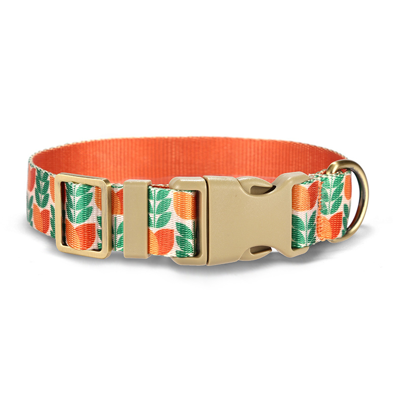 2023 Popular Luxury Dog Collar Metal Buckle Hardware Personalized Sublimation Gold Pet Dog Collar Manufacturer