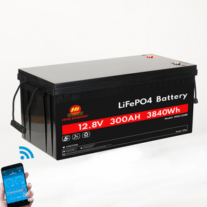 Customized 12V lifepo4 solar camping car battery RV camping car motorhome caravan battery