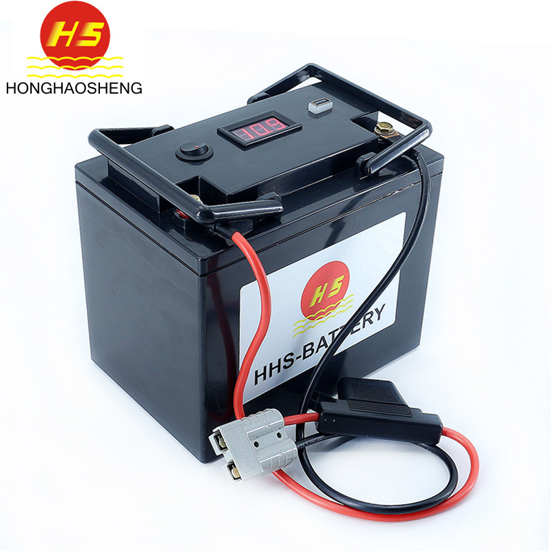 Factory Wholesale Price Car Battery for Starter