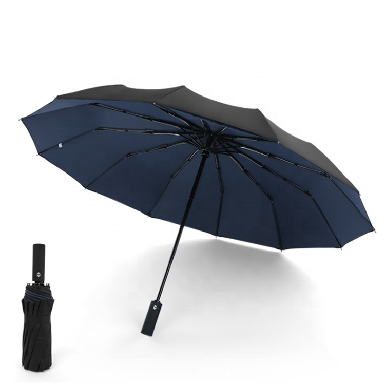 Travel Windproof Double Layer Umbrella Auto Open and Close with Logo