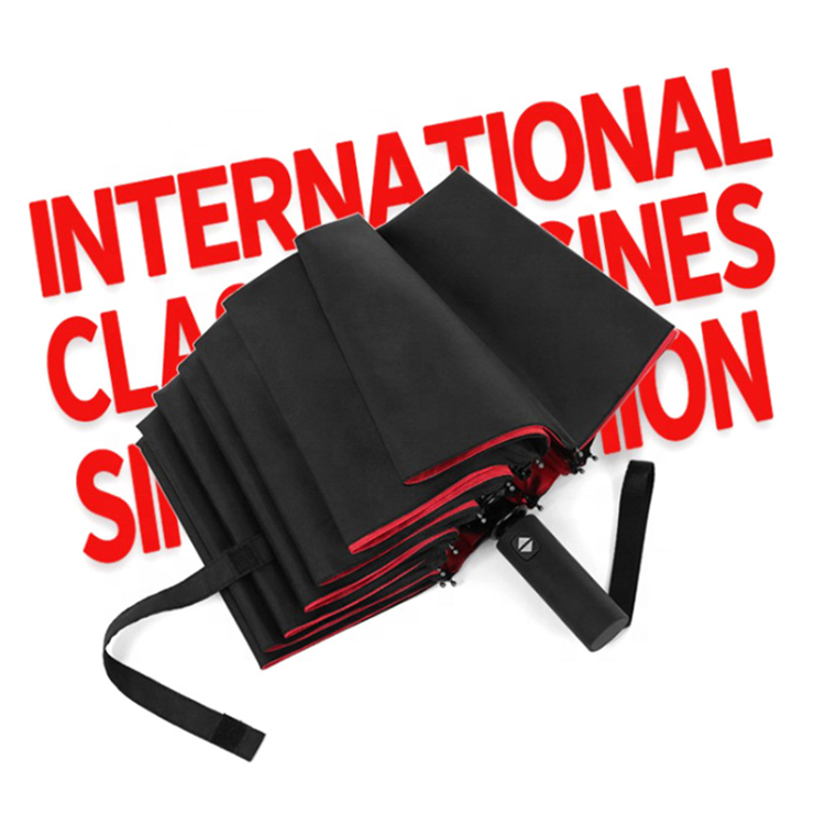 Travel Windproof Double Layer Umbrella Auto Open and Close with Logo