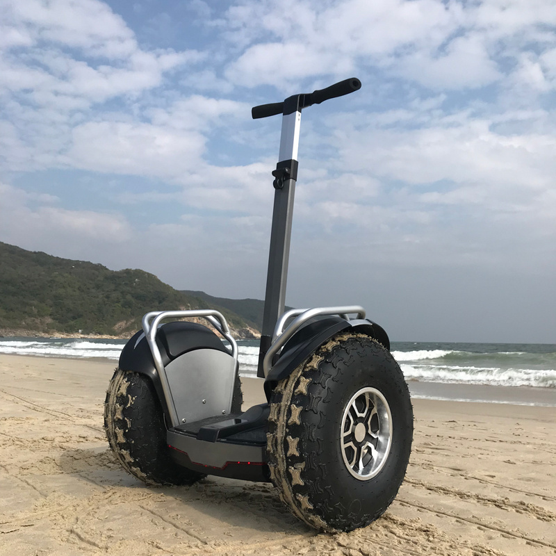 Lowest price 19 inch adult electric two wheel off-road scooter with handle