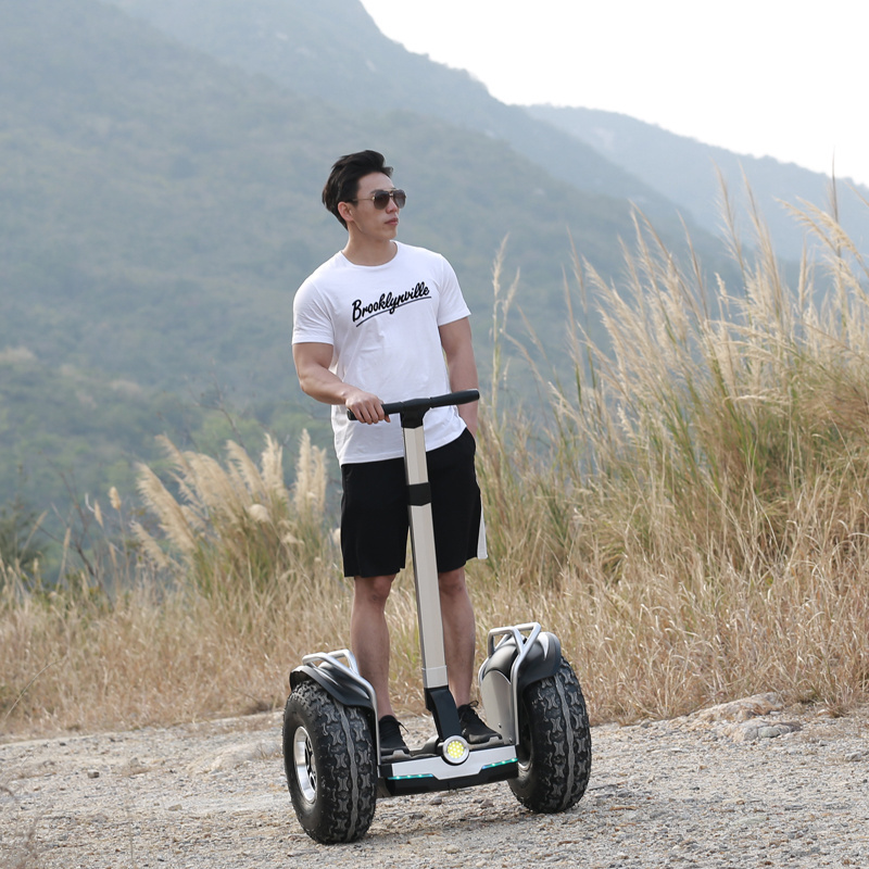 Like Smart Self Balance Scooter Personal Transporter 19 inch All Terrain Tires