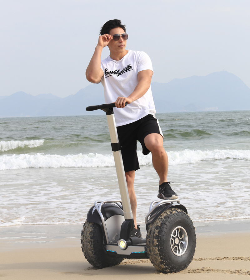 Lowest price 19 inch adult electric two wheel off-road scooter with handle