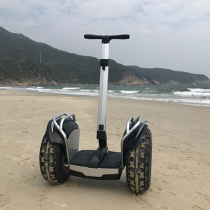 Lowest price 19 inch adult electric two wheel off-road scooter with handle