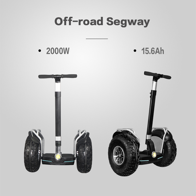 Hot sale 2400W high power 19 inch scooter electric self balancing scooter with handle