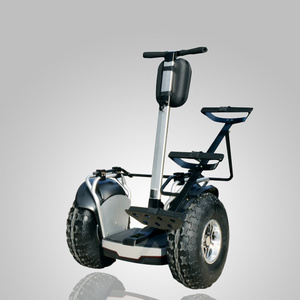 19 inch Smart Intelligent Off road Chariot Electric  Golf E Self Balance Scooter