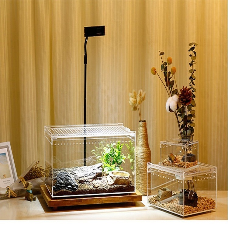 Wholesales clear acrylic Lizard crawl snake pet cages