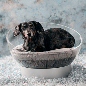 thermal bending acrylic pet bed half-egg shape round acrylic pet dog sleeping bed