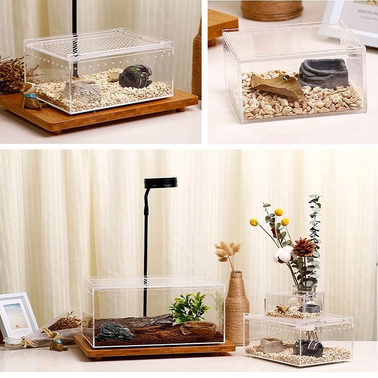 Wholesales clear acrylic Lizard crawl snake pet cages