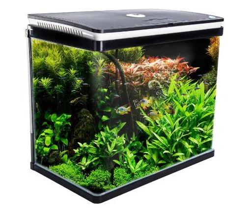 acrylic fish tank glass Aquarium with fllter and LED lighting Jelly fish Aquarium Aquarium Curved Glass RGB LED Fish Tank