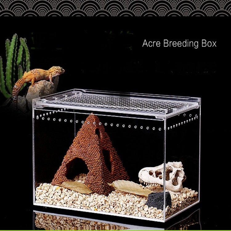 Wholesales clear acrylic Lizard crawl snake pet cages