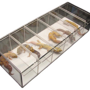 Acrylic reptile display case geckos snakes rack with magnet Plastic acrylic reptile cage with magnet for spider lizard gecko