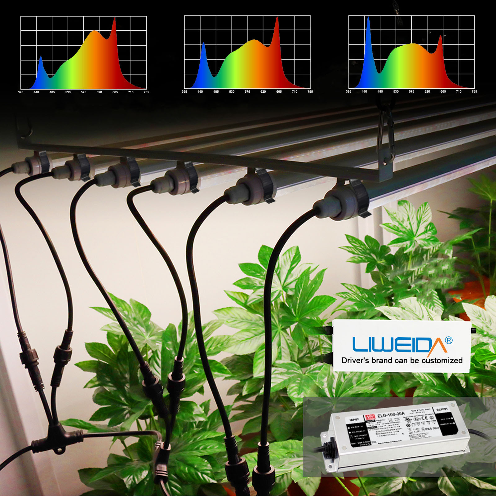 Liweida 1ft 2ft 3ft 4ft 5ft 6ft 8ft led tube light hydroponic diy ip65 full spectrum led grow lights for aeroponic tower garden