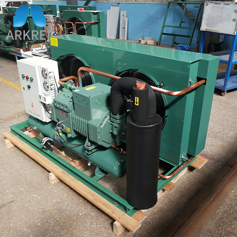 ARKREF Compressor Condensing Unit Cooler Air Cooled Condensing Unit For Cold Storage Room