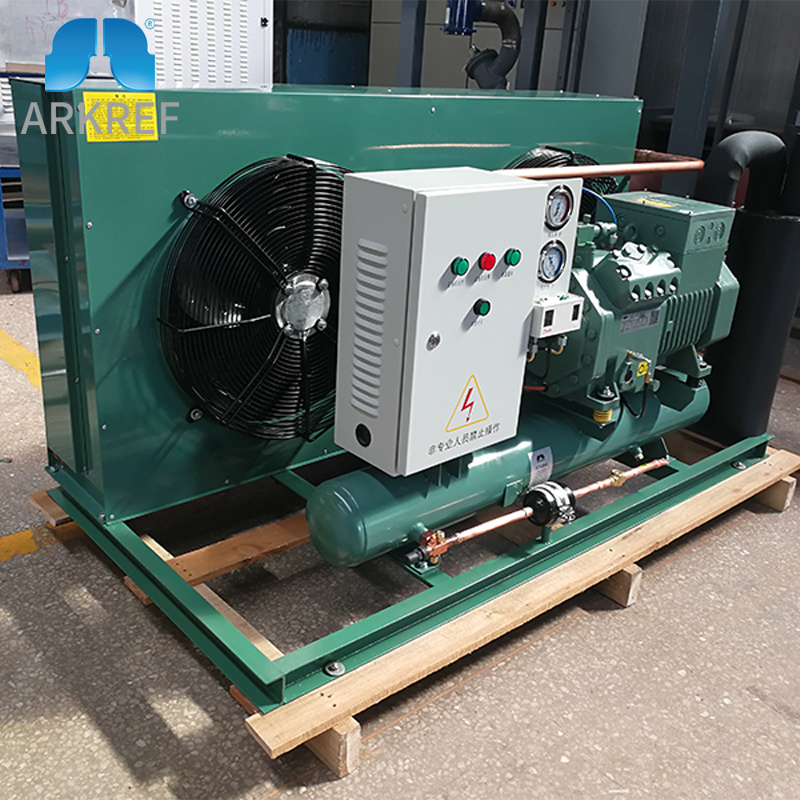 ARKREF Compressor Condensing Unit Cooler Air Cooled Condensing Unit For Cold Storage Room