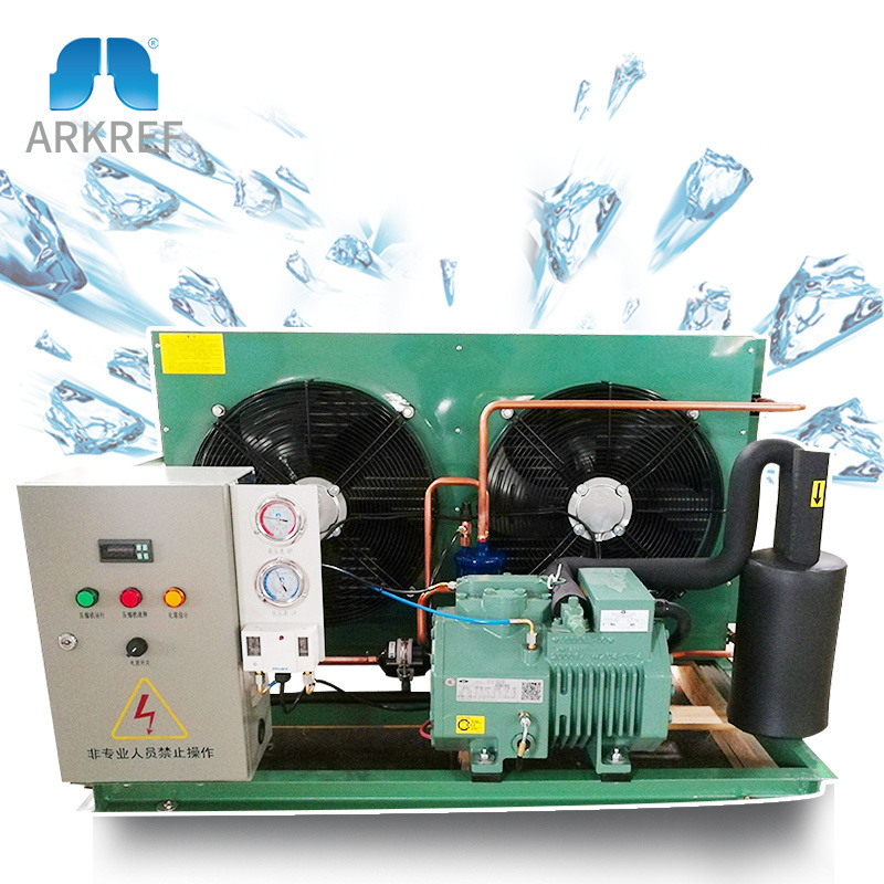 ARKREF Compressor Condensing Unit Cooler Air Cooled Condensing Unit For Cold Storage Room