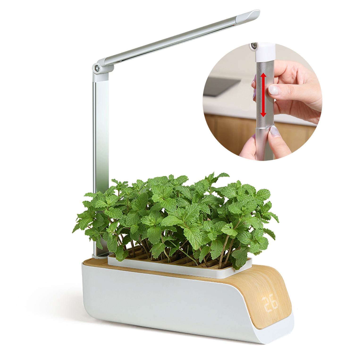 Automatic Timer Smart Soil Sponge Vermiculite Various Plants indoor LED grow light indoor decoration Hydroponic Kitchen Garden