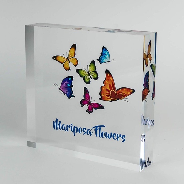 custom acrylic product brand acrylic block shop display logo block