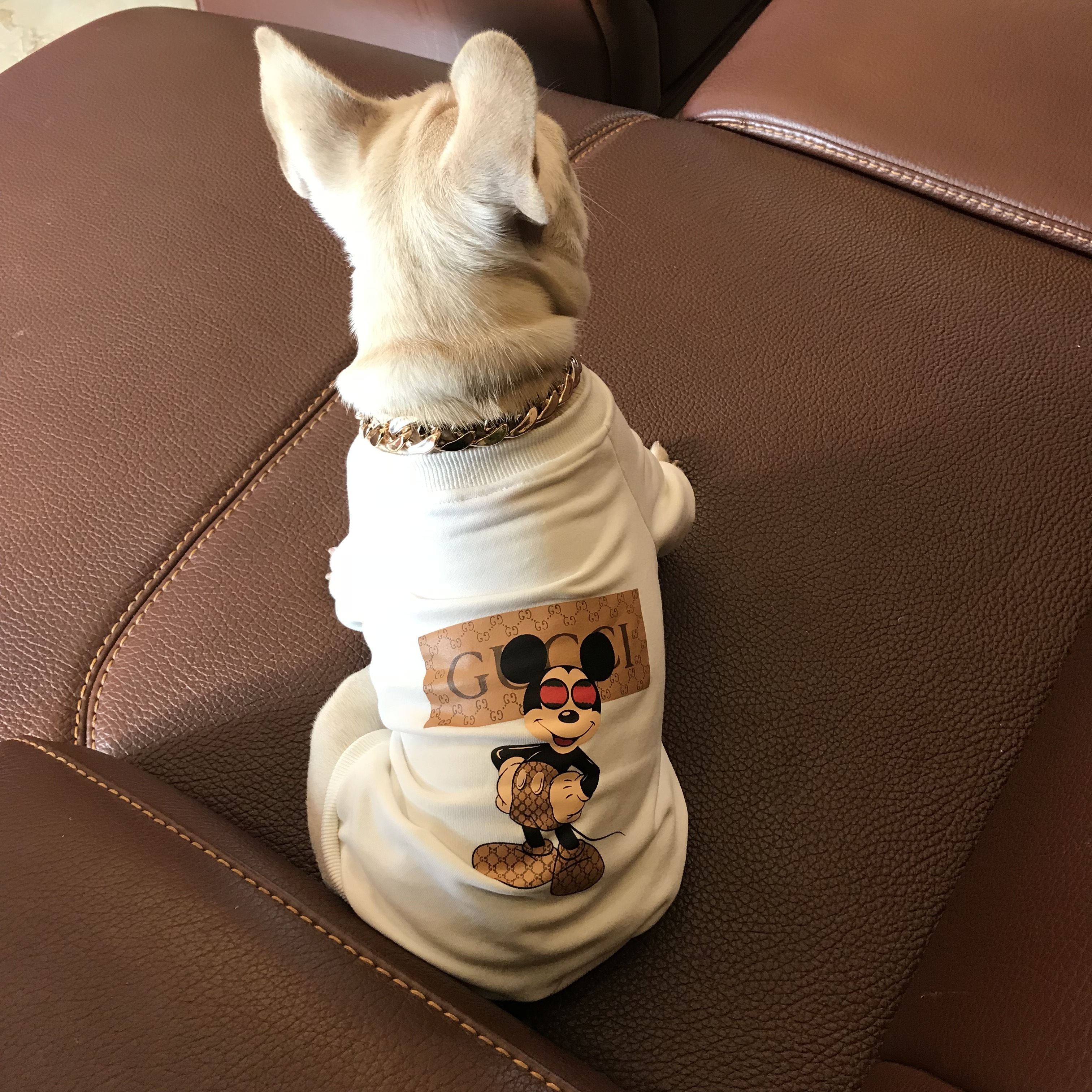 Hot Selling Luxury Pet Cloth Mickey Mouse Classic Sweatshirt Fashion Pet Apparel Accessories Comfy Outwear Hoodies For All-sized