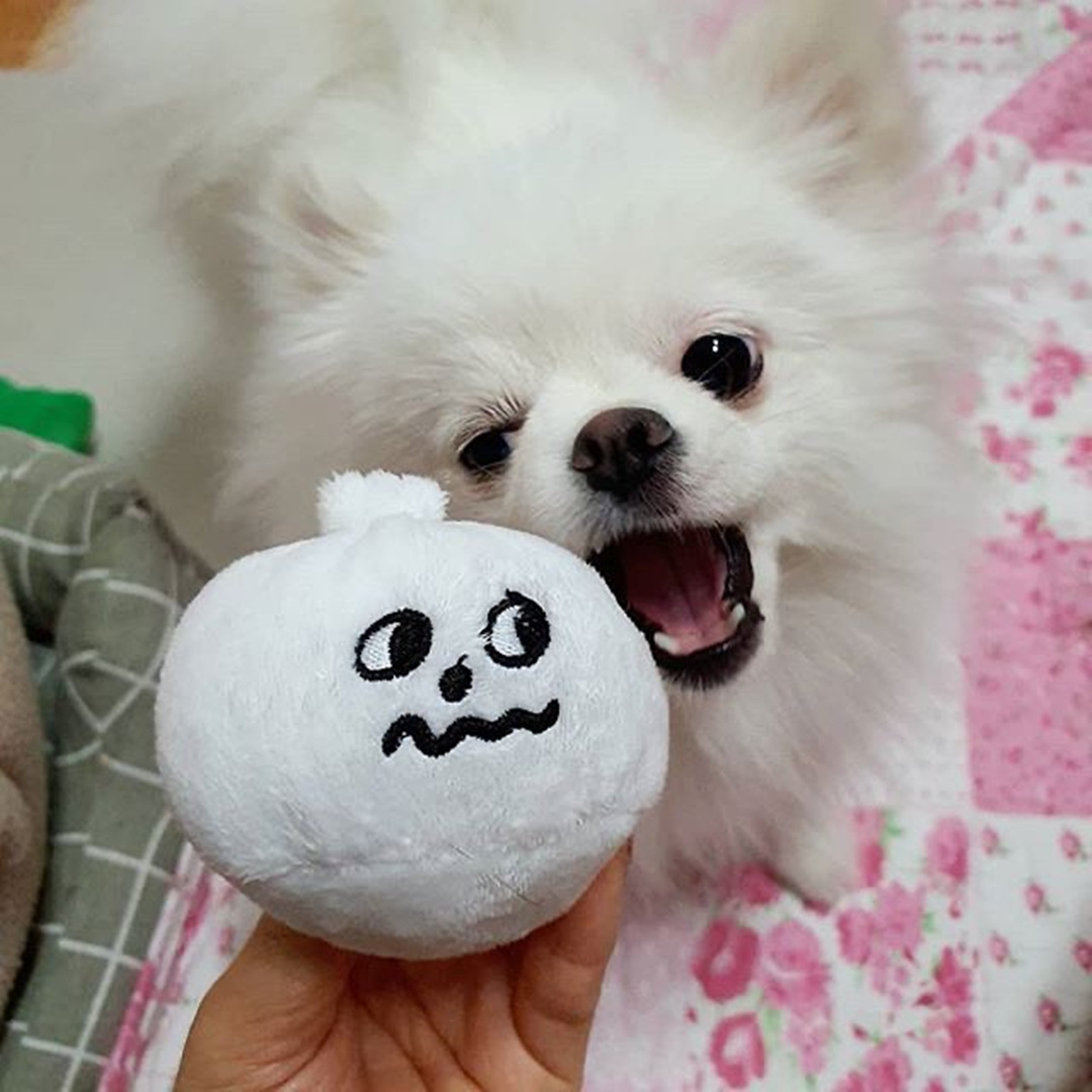 Hot Selling Luxury Pet Toy Soft Plush Durable Chew Toy Bento To-go Bun Kit Cute Squeaky Interactive Toy Indoor Training Tools