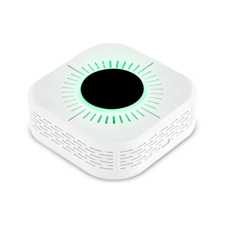 Standalone carbon monoxide and cigarette smoke detector alarm