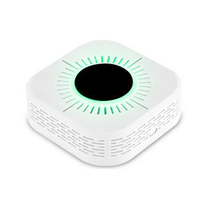 Standalone carbon monoxide and cigarette smoke detector alarm