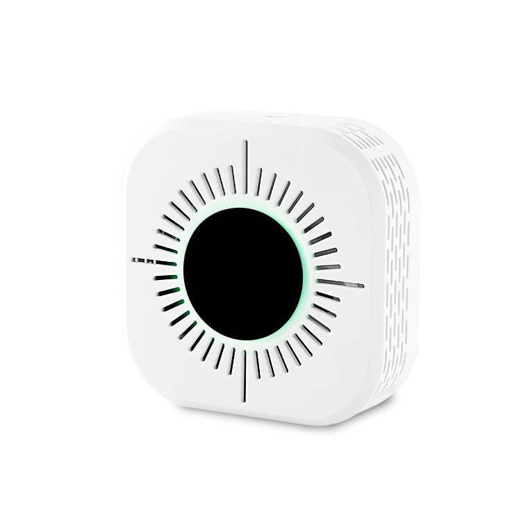 Standalone carbon monoxide and cigarette smoke detector alarm