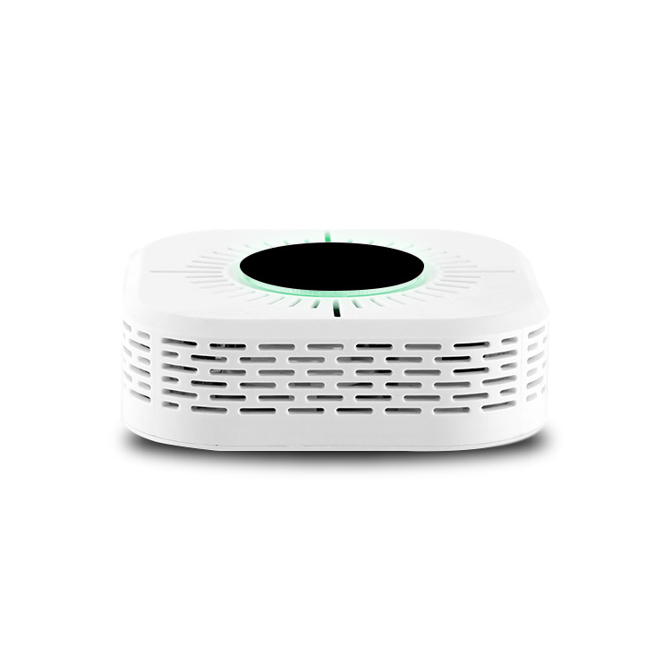 Standalone carbon monoxide and cigarette smoke detector alarm