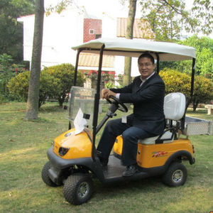 100% factory delivery small 2 seater used electric golf car with ear cargo box