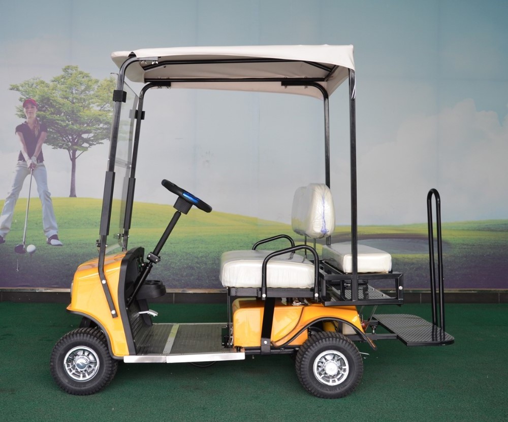 24V two seater Electric Power Golf Cart scooter with affordable price for sale,CE Approval and Stainless Frame