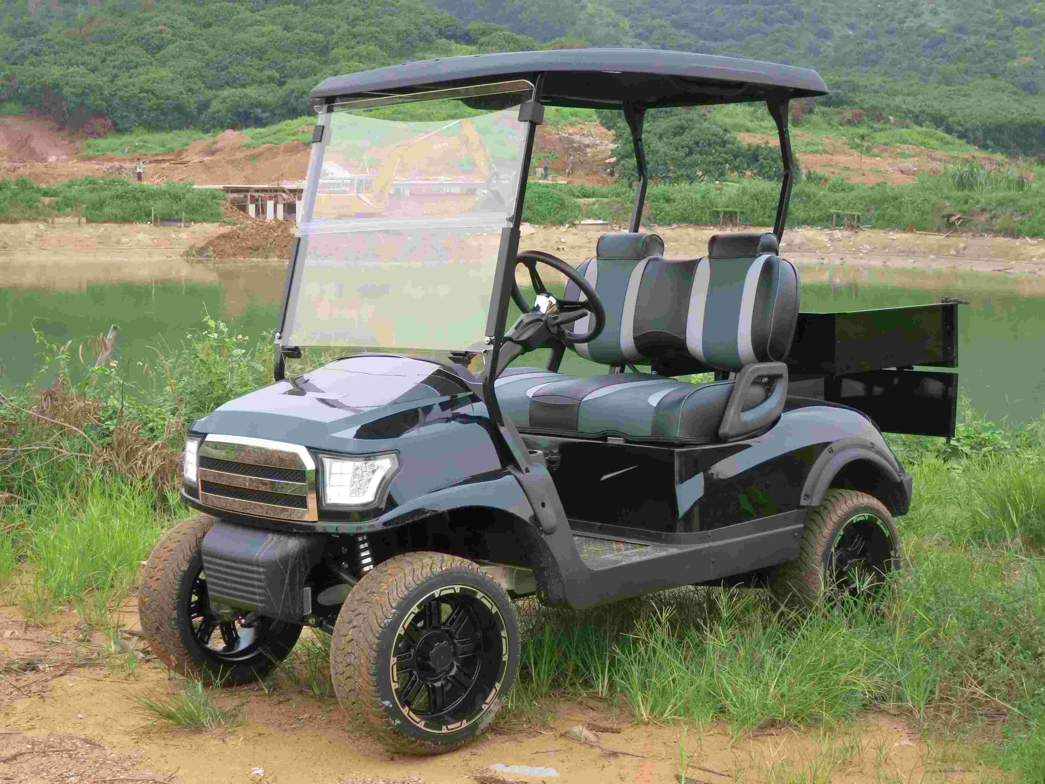 Golf Cart 4 Seater Risun G2 4Kw 5Kw Motor For Adults Sightseeing Tour