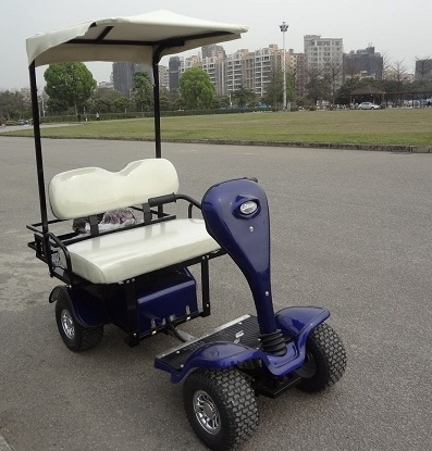 2 seater  foldable mini four-wheel electric golf carts personal use golf vehicles