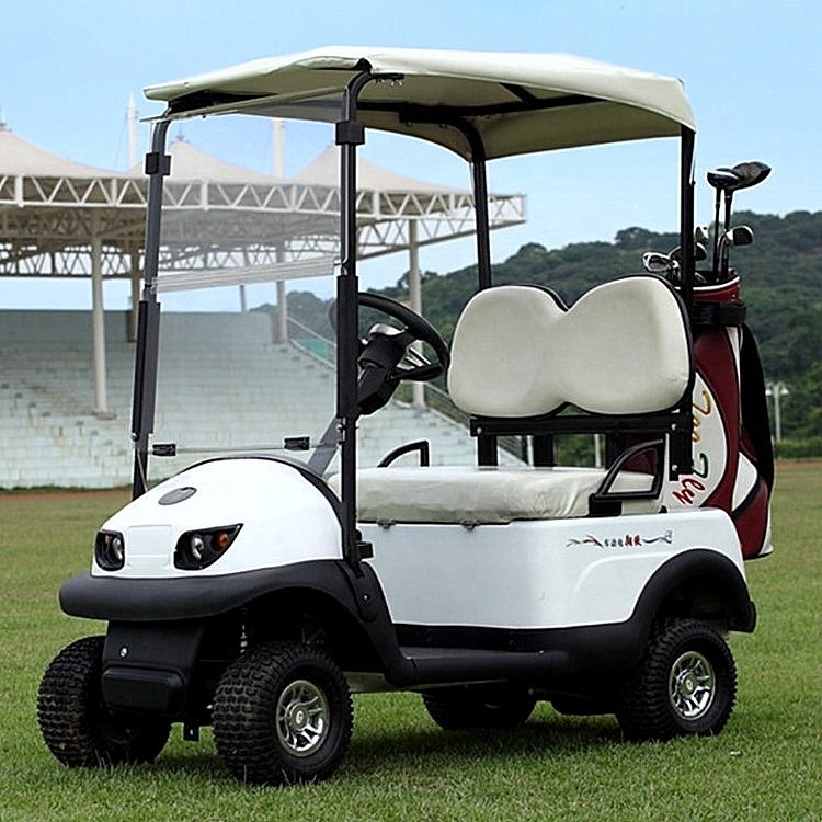 Electric Multifunctional golf buggy made in China