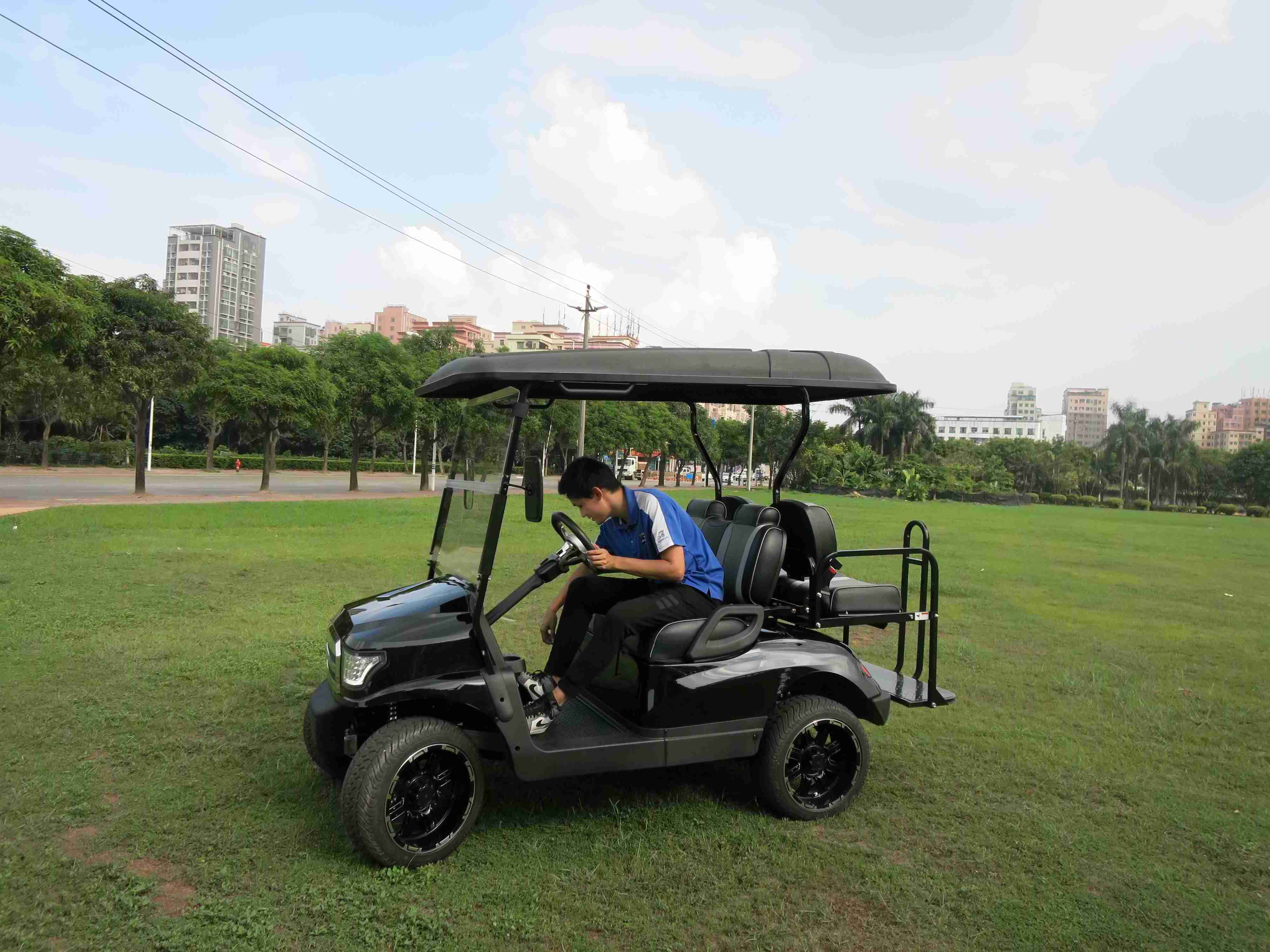 Golf Cart 4 Seater Risun G2 4Kw 5Kw Motor For Adults Sightseeing Tour