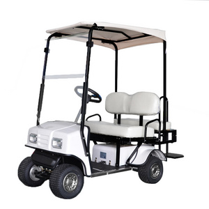 2 seater mini electric personal golf cart with dependable performance