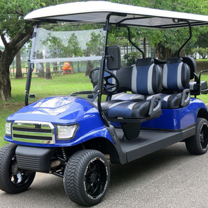 powerful electric gas powered golf cart with 6 seaters and rear seat