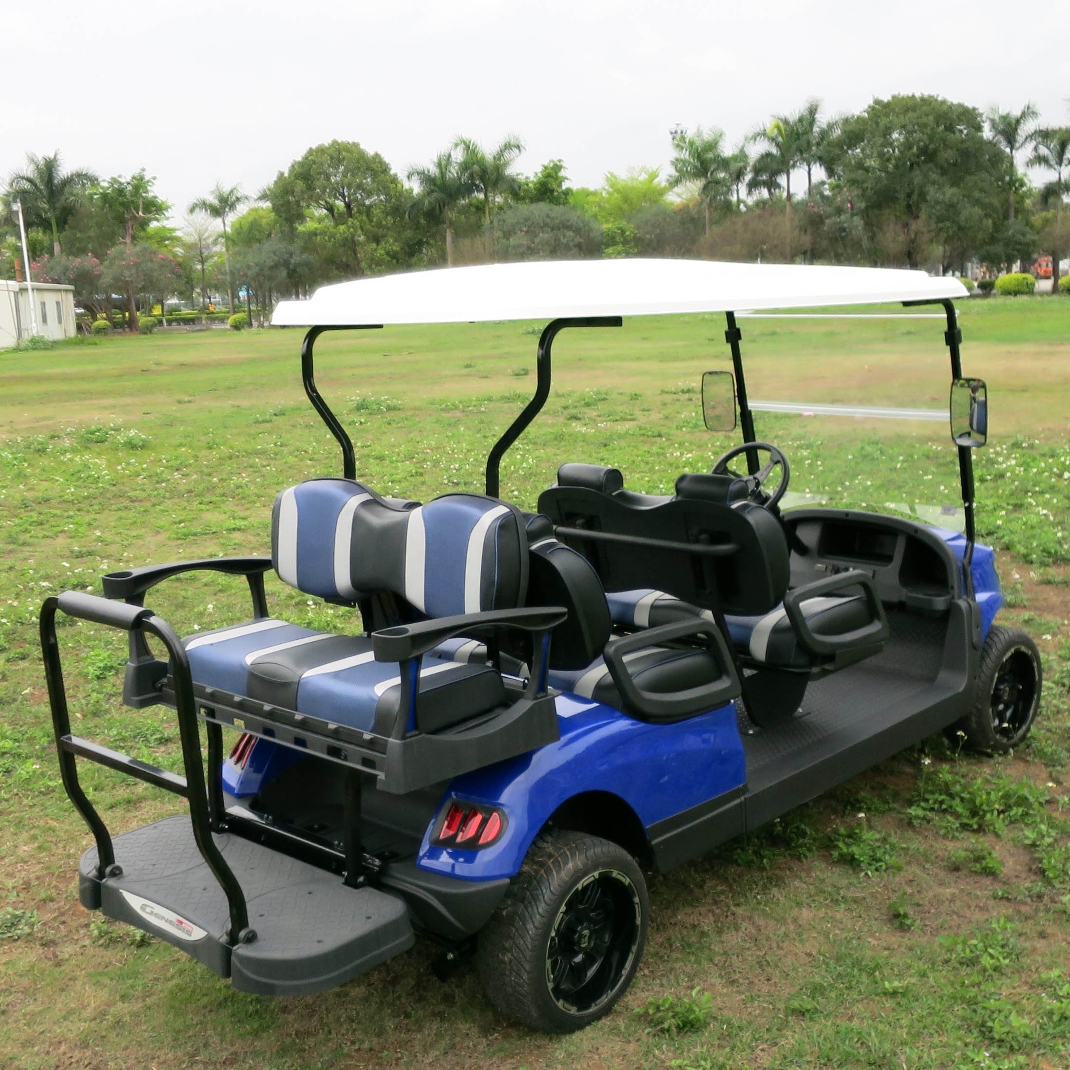 powerful electric gas powered golf cart with 6 seaters and rear seat