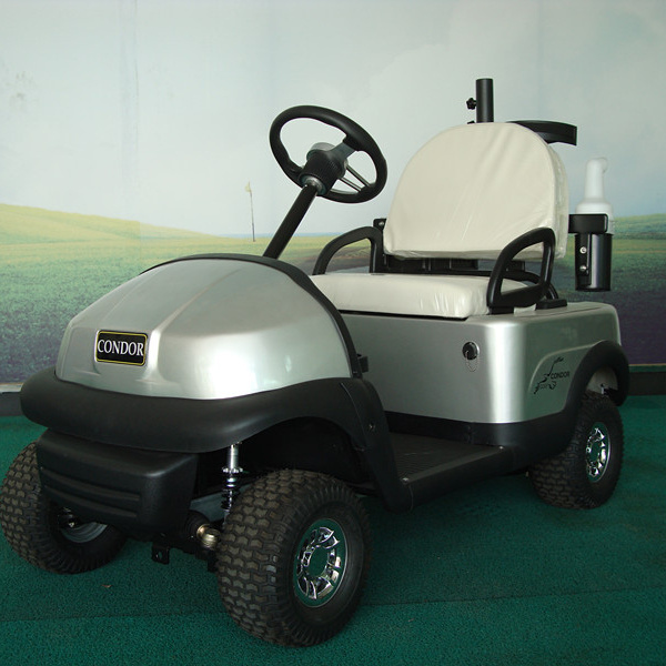 Affordable price single seat electric golf buggy for sale