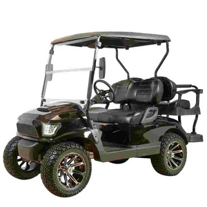 Golf Cart 14 Inch Wheels And Tires Risun G2 4Kw Motor For Adults Sightseeing Tour