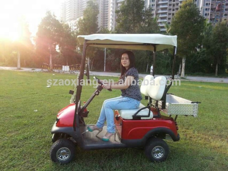 Foldable mini electric golf cart for sale with 24V 800W Motor 1950x860x1650mm