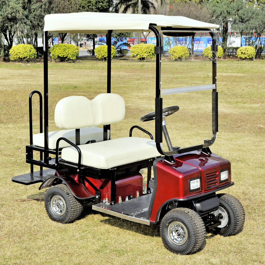 Foldable mini electric golf cart for sale with 24V 800W Motor 1950x860x1650mm