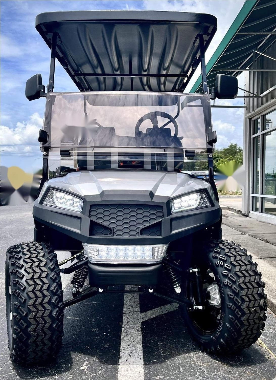 6 Seater Electric Golf Cart Street Legal Adult Golf Cart for Sale