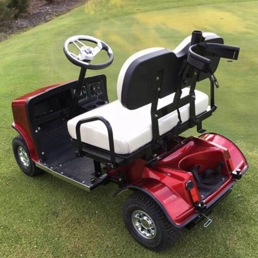 Foldable mini electric golf cart for sale with 24V 800W Motor 1950x860x1650mm