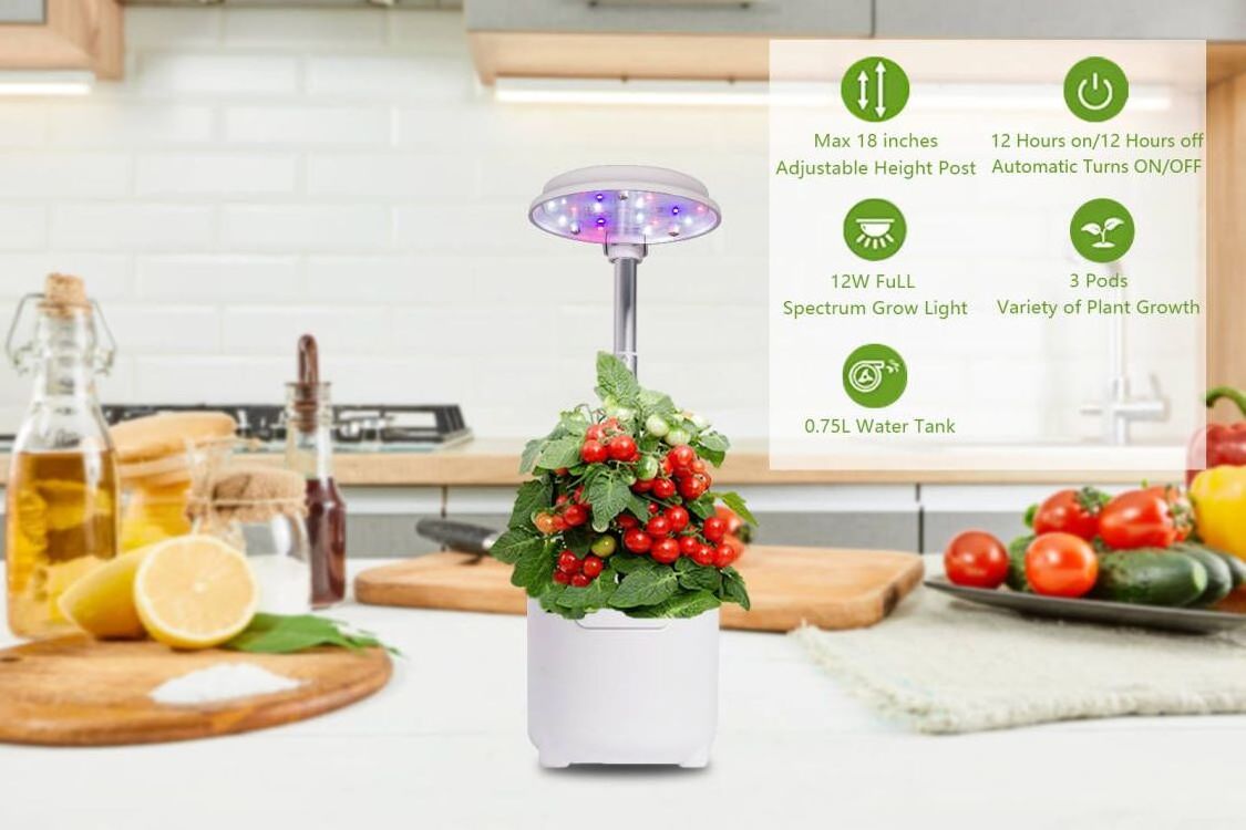 2021 new timing Minigarden Charloe - White Umbrella grow light indoor grow light LED grow light height adjustable White